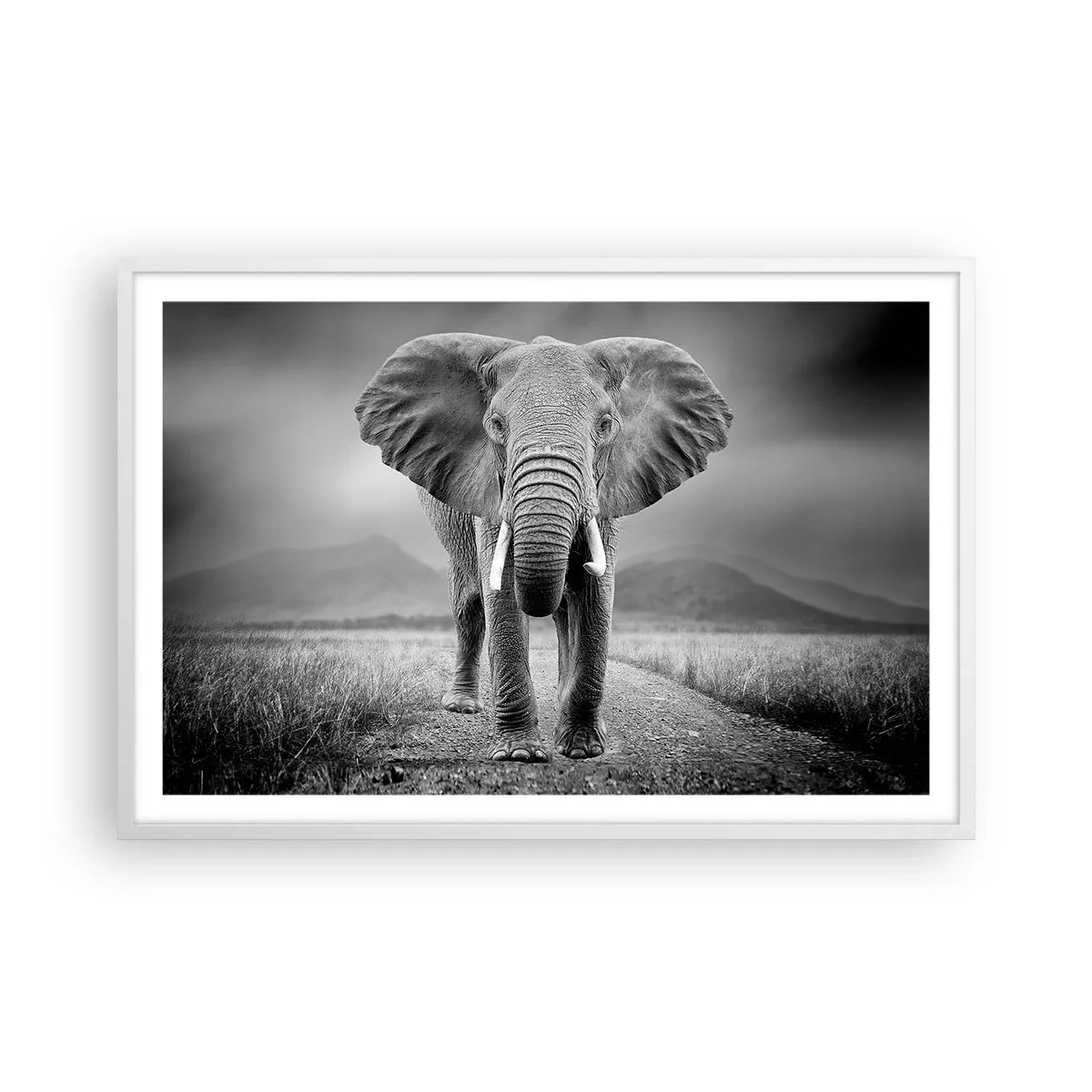 Plagát v bielom ráme - Hostiteľ víta - 91x61 cm