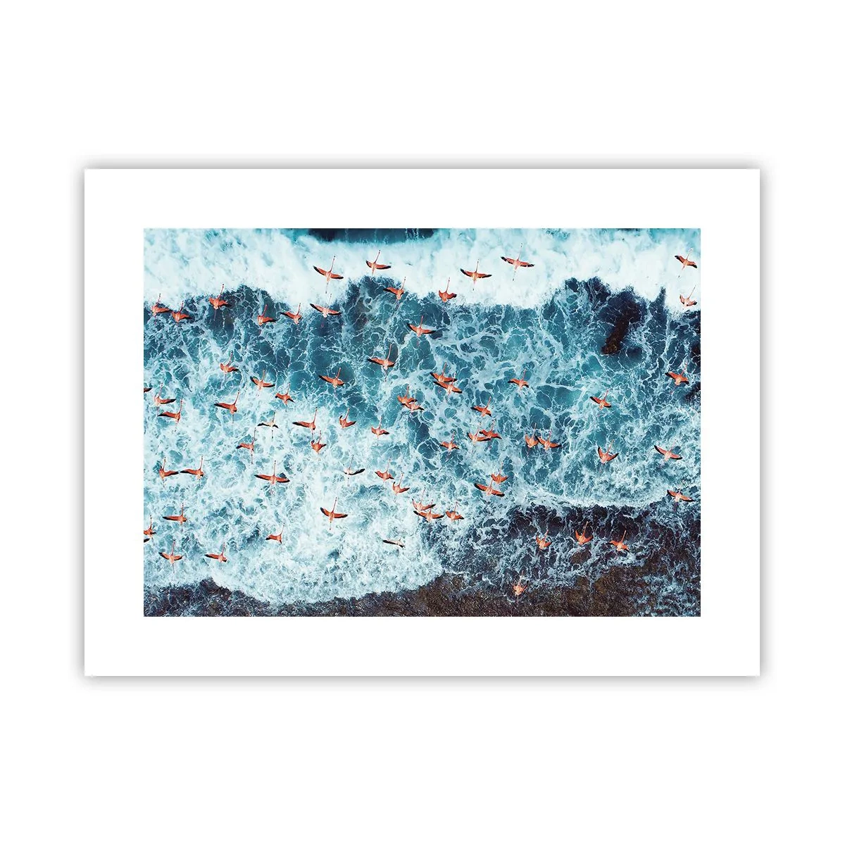 Plagát - Prímorský sprievod - 40x30 cm