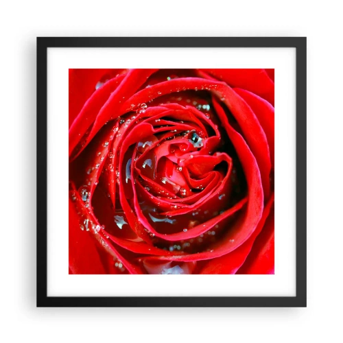 Plagát v čiernom ráme - V kvapkách rosy - 40x40 cm