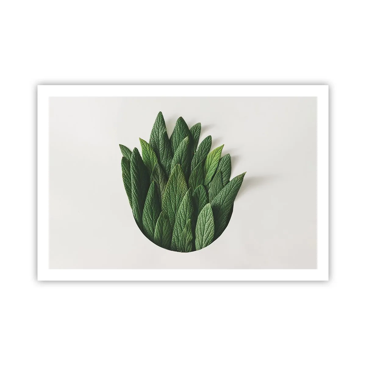 Plagát - Neukojiteľná zvedavosť - 91x61 cm