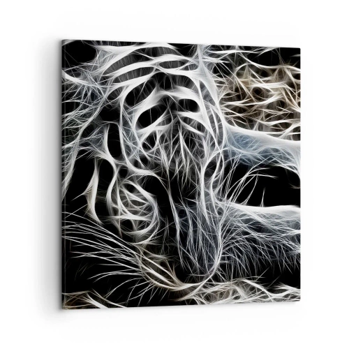 Obraz na plátne - Štúdia mačacej ľahkosti - 50x50 cm