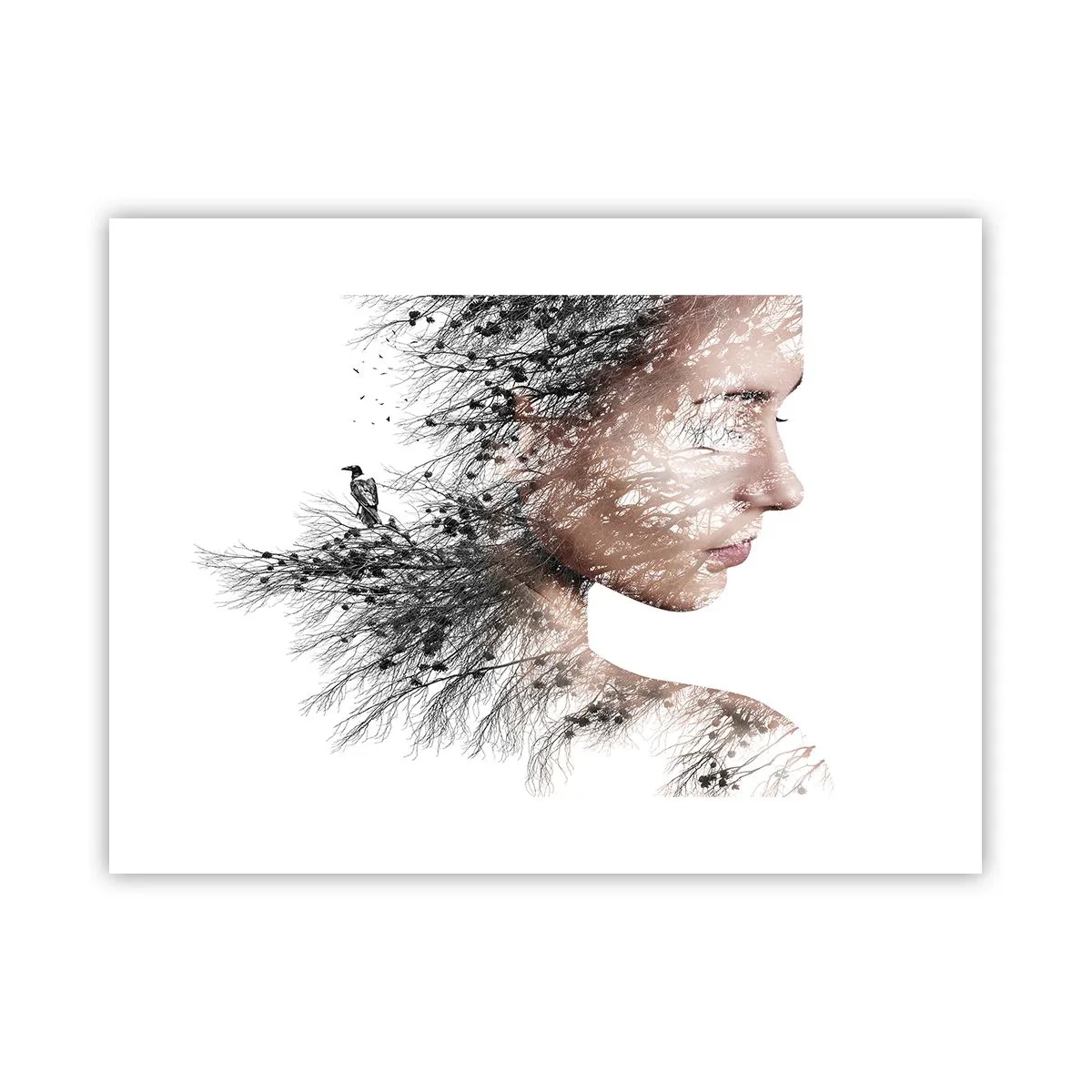 Plagát - Duch lesa - 40x30 cm