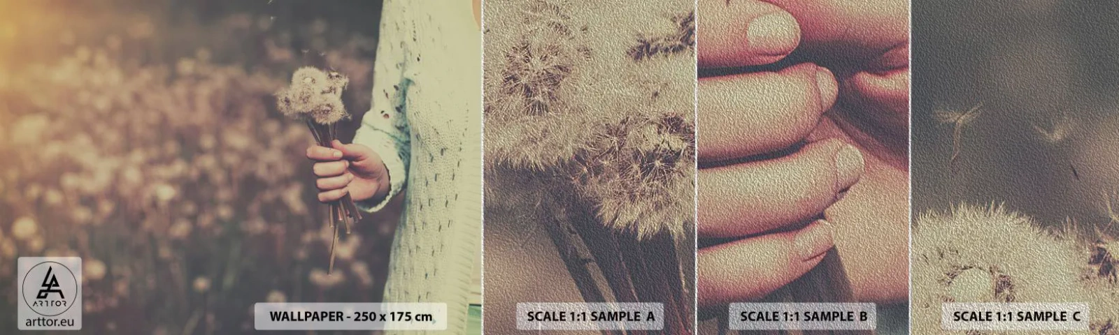 Vzorka fototapety Premium Sand - Zastav ich, prosím - Púpava, Lúka, Príroda - 100x30 cm