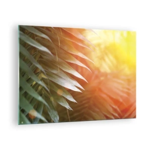 Obraz na skle - Palmové listy v žiari ranného slnka v tropickom prostredí - 70x50cm - Ráno v džungli - Moderná nástenná dekorácia do obývacej izby a spálne ARTTOR