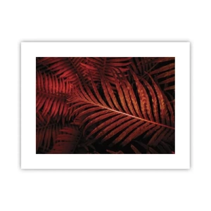 Plagát - Žiar života - 40x30 cm