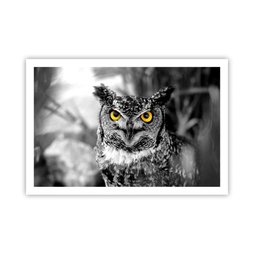 Plagát - Nič sa neschová - 91x61 cm