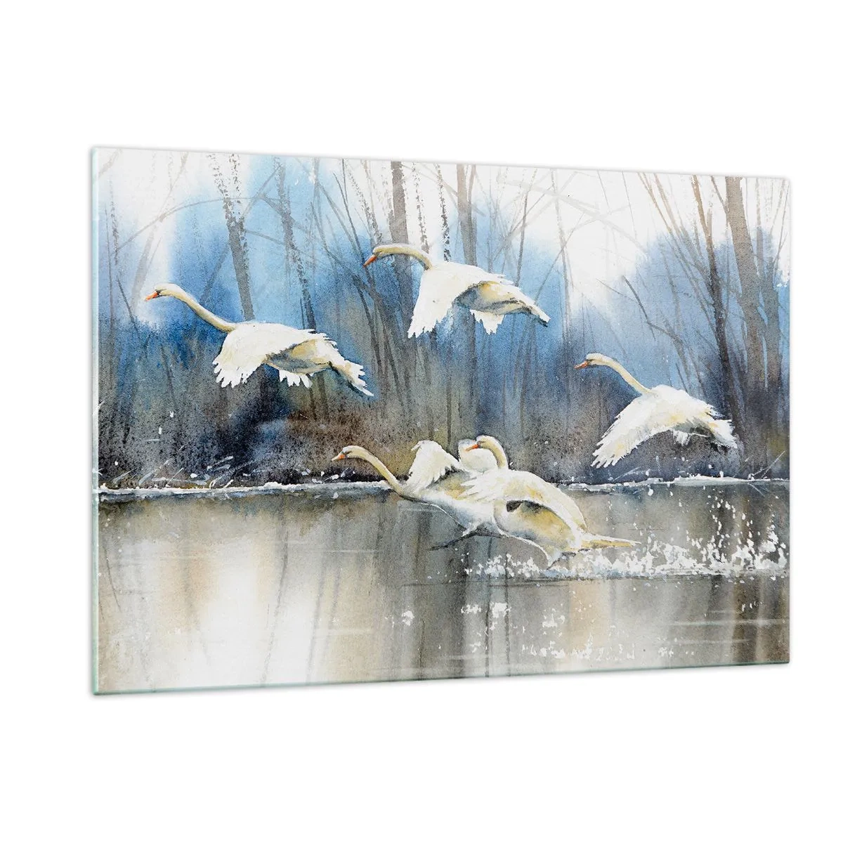 Obraz na skle - Ako v poviedke o divokých labutiach - 120x80 cm