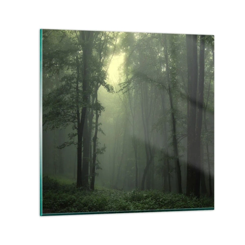 Obraz na skle - Než sa prebudí - 70x70 cm