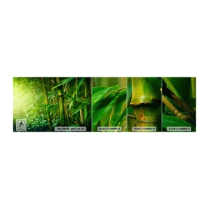 Vzorka samolepiacej fototapety Deluxe Sticker - Poznať samotnú zeleň - Rastlina, Bambus, Džungle - 100x30 cm