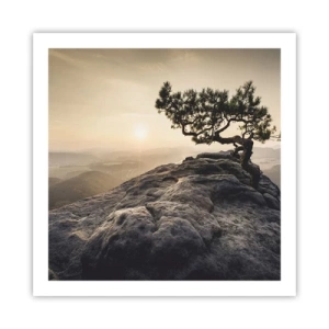 Plagát - Život vždy víťazí - 60x60 cm