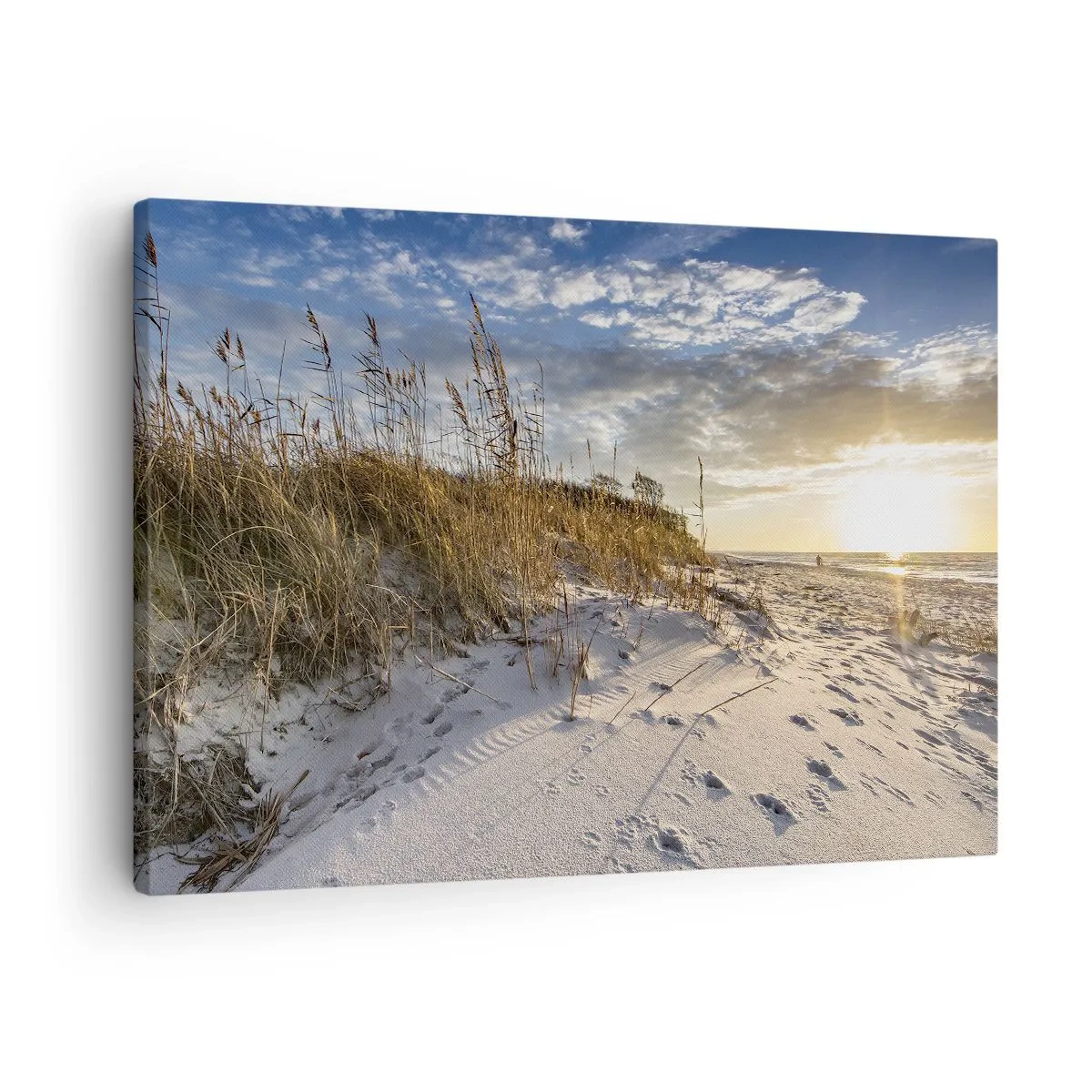 Obraz na plátne - Duny s trávou a stopami v piesku pri západe slnka - 70x50cm - Pozvánka na prechádzku - Moderná nástenná dekorácia do obývacej izby a spálne ARTTOR
