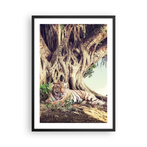 Plagát v čiernom ráme - Tiger odpočíva pod obrovským stromom so zamotanými koreňmi. - 50x70cm - Pohľad z knihy Mojžišovej - Moderná nástenná dekorácia do obývacej izby a spálne ARTTOR