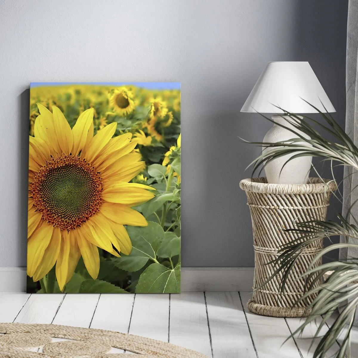 Obraz na plátne - Zahoreli stovky sĺnk - 50x70 cm