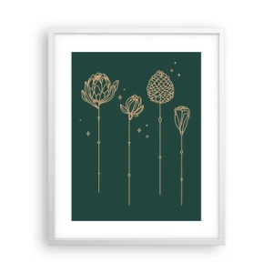 Plagát v bielom ráme - Bylinky - 40x50 cm