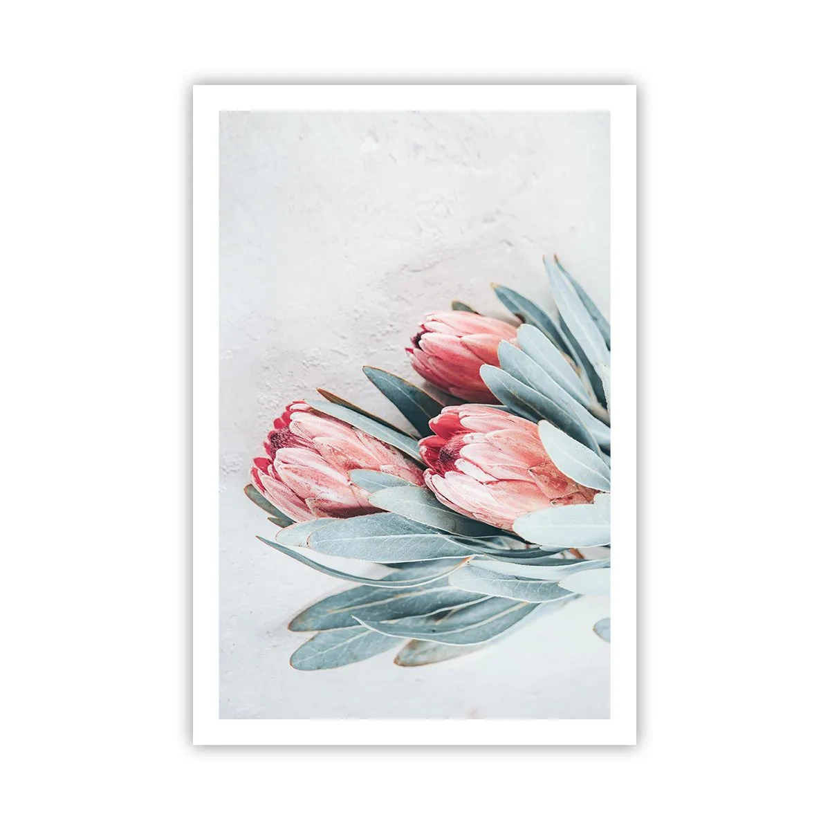 Plagát - Zahanbené svojou vlastnou krásou - 61x91 cm