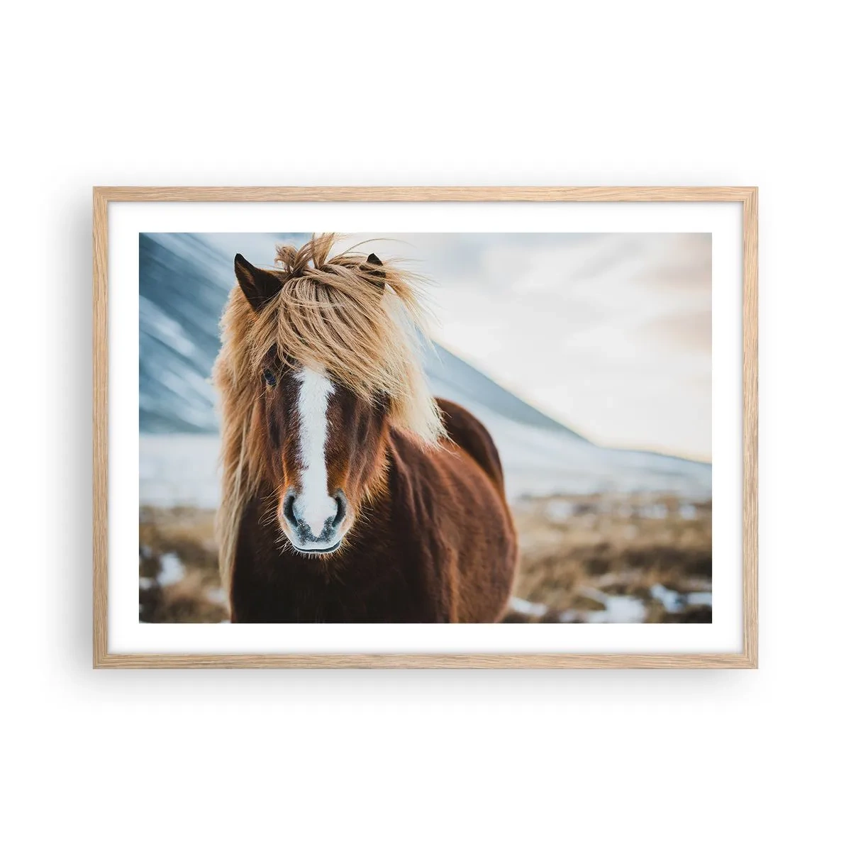 Plagát v ráme zo svetlého duba - Cítiš slobodu? - 70x50 cm