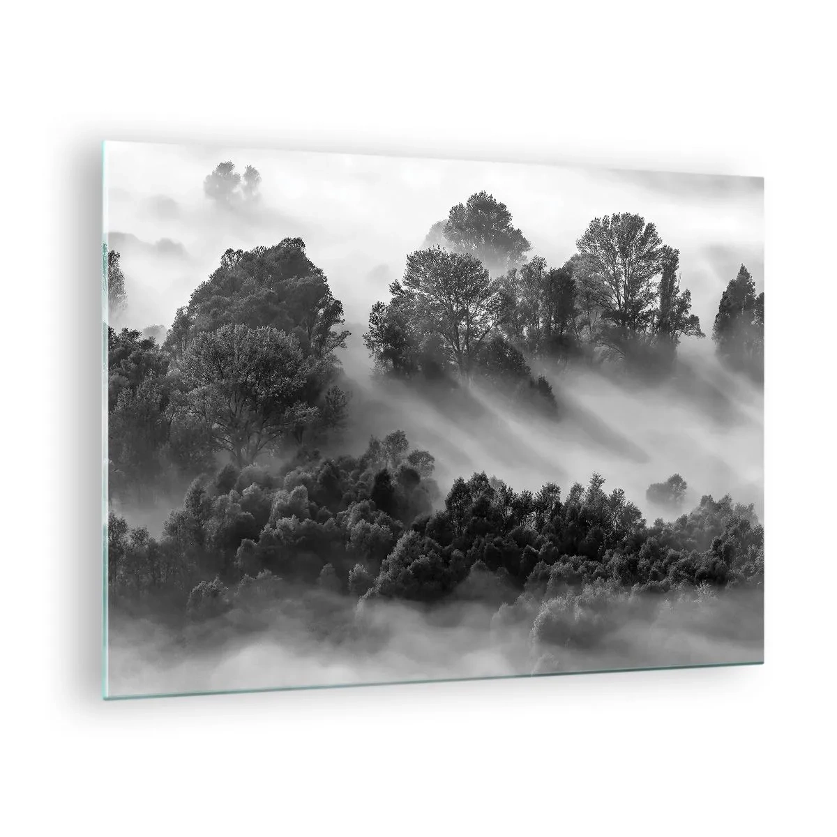Obraz na skle - Hmlistý les na slnečnom svetle v čiernobielej farbe - 70x50cm - Prebúdzanie zo spánku - Moderná nástenná dekorácia do obývacej izby a spálne ARTTOR