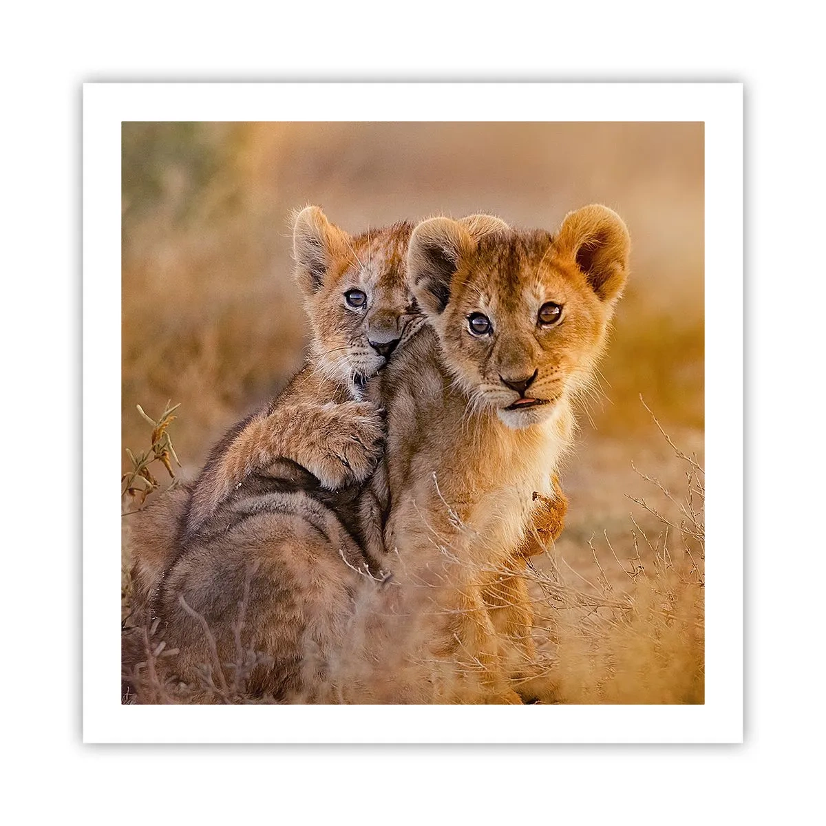 Plagát - Nevyrušovať! Hrajme sa - 60x60 cm