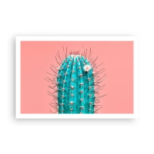 Plagát - Len pozeraj - 91x61 cm