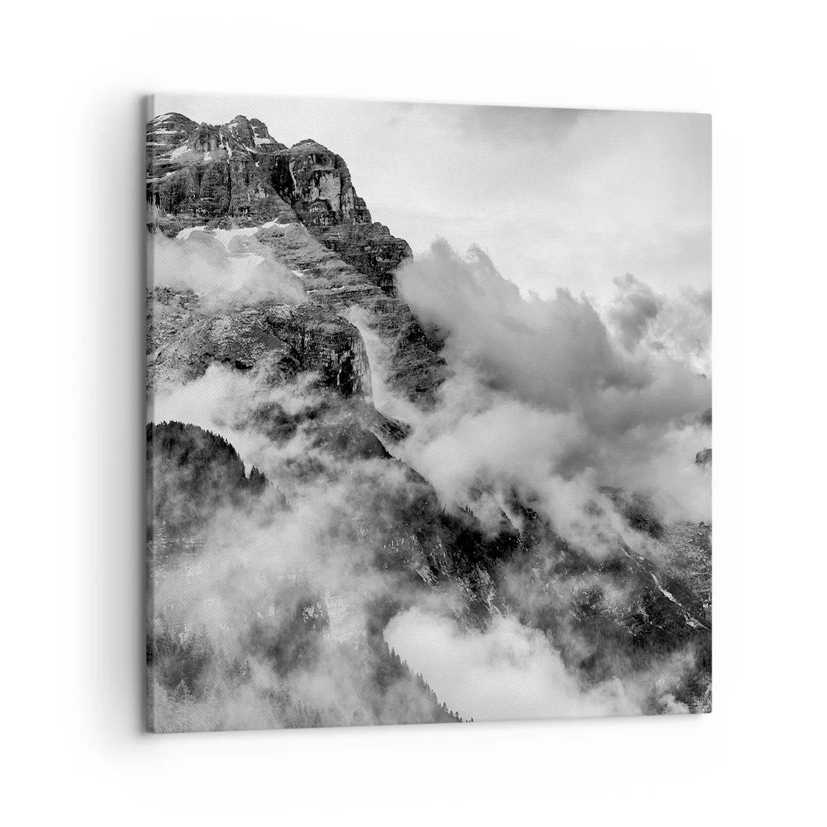 Obraz na plátne - Krásne a kruté - 50x50 cm