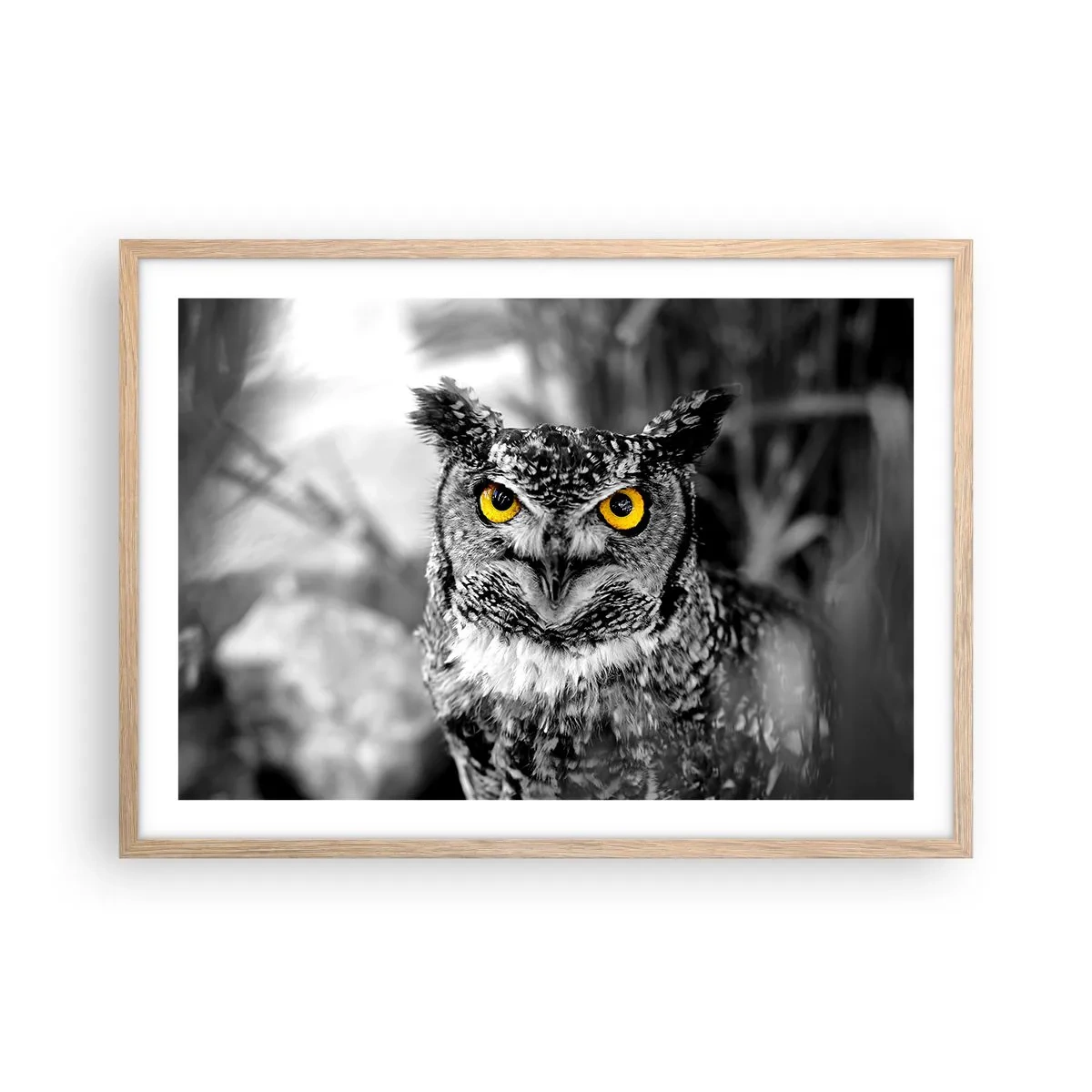 Plagát v ráme zo svetlého duba - Nič sa neschová - 70x50 cm