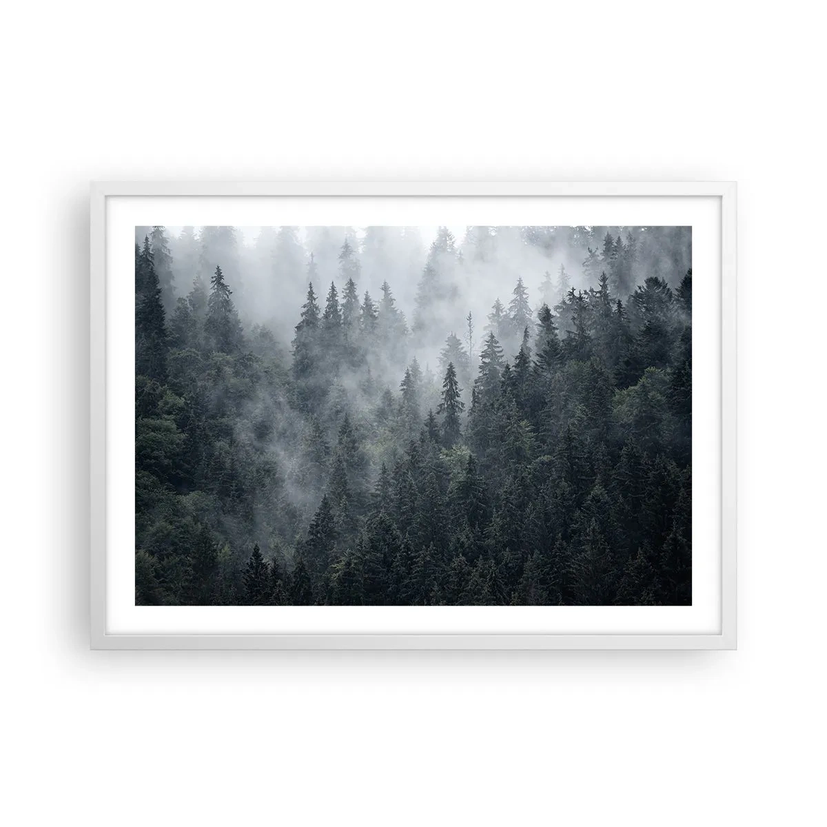 Plagát v bielom ráme - Lesné svitania - 70x50 cm