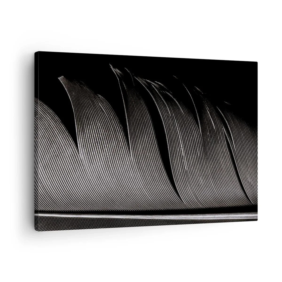 Obraz na plátne - Čiernobiela textúra peria v minimalistickom štýle - 70x50cm - Perie – nádherná konštrukcia - Moderná nástenná dekorácia do obývacej izby a spálne ARTTOR