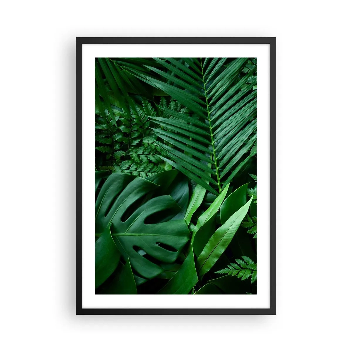 Plagát v čiernom ráme - Zelená papraď a palmové listy vytvárajú tropický vzor - 50x70cm - Objaté v zeleni - Moderná nástenná dekorácia do obývacej izby a spálne ARTTOR