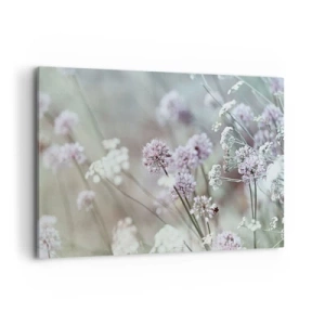Obraz na plátne - Sladké filigrány byliniek - 120x80 cm
