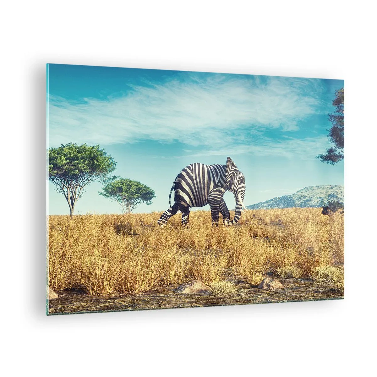 Obraz na skle - Slon so zebrími pruhmi na savane pod oblohou - 70x50cm - Šedá už nie je v móde - Moderná nástenná dekorácia do obývacej izby a spálne ARTTOR