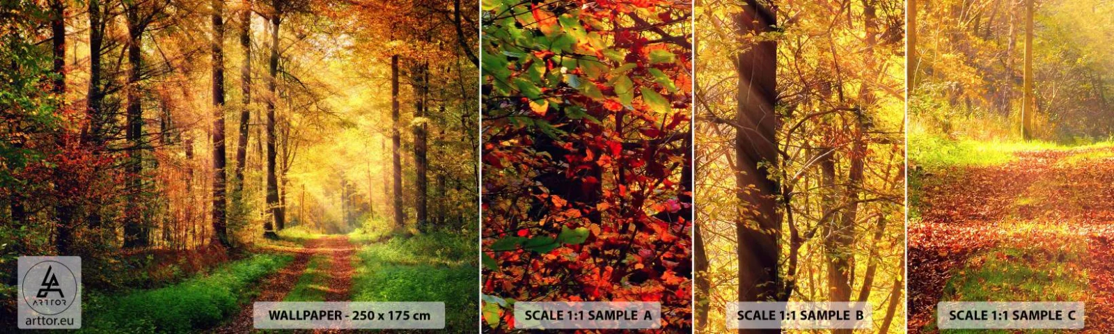 Vzorka samolepiacej fototapety Deluxe Sticker - Lesno-zlaté ticho - Krajina, les, Lesná cesta - 100x30 cm