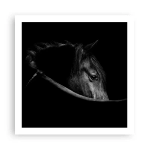 Plagát - Čierny knieža - 60x60 cm