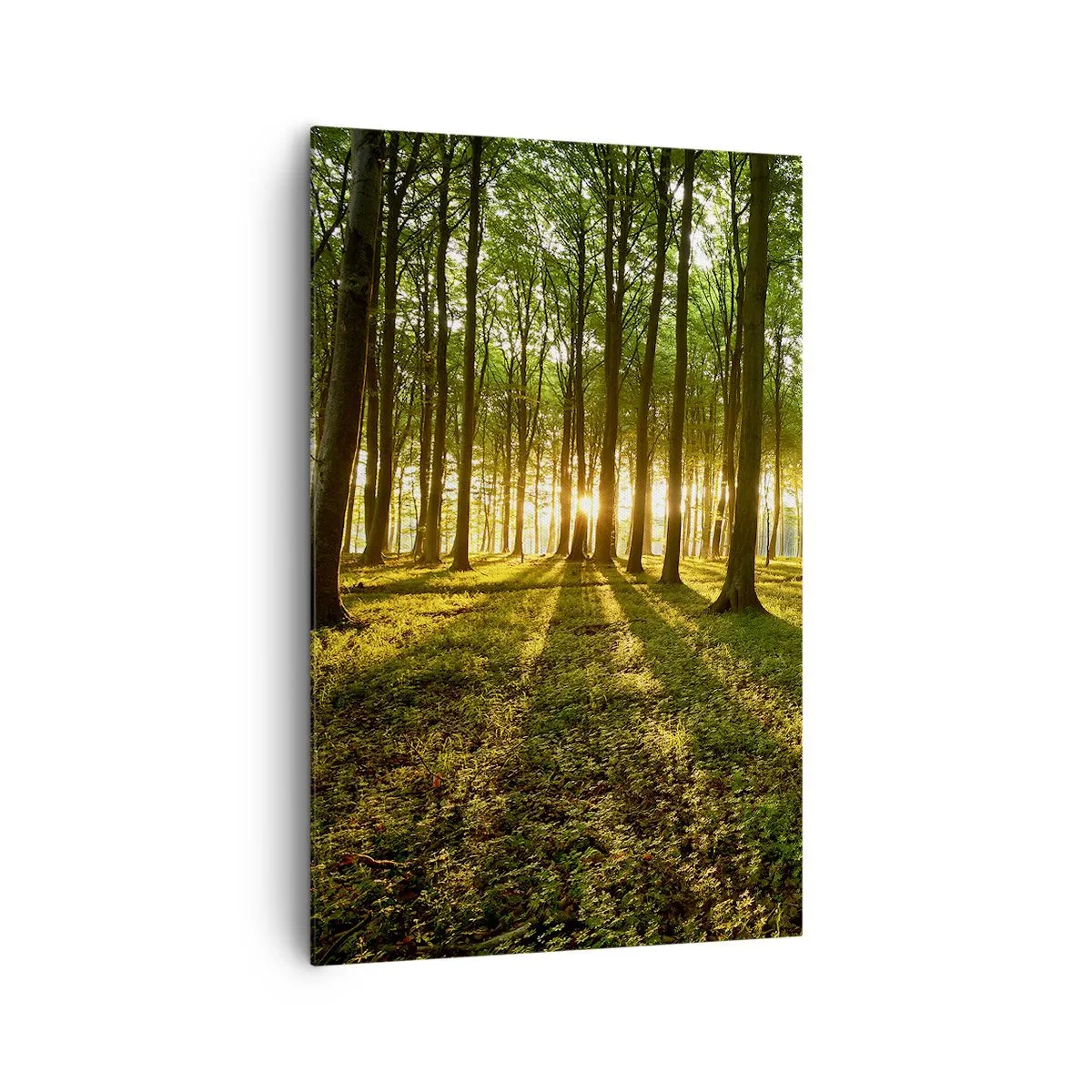 Obraz na plátne - Fotografie všetkých jarí - 80x120 cm