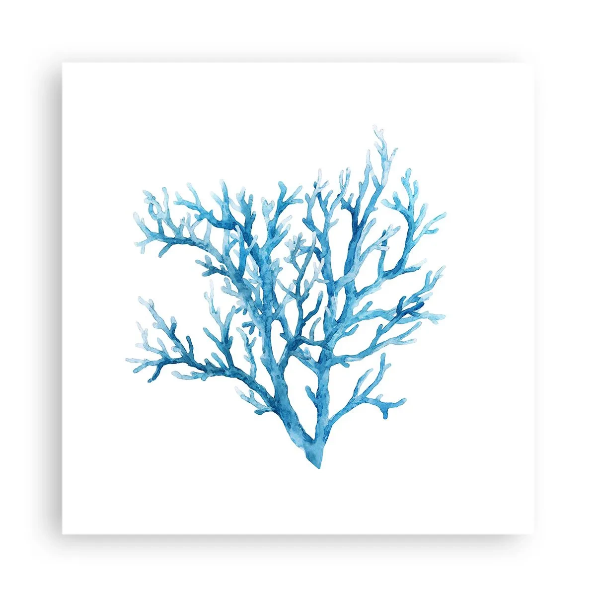Plagát - Morský filigrán - 40x40 cm