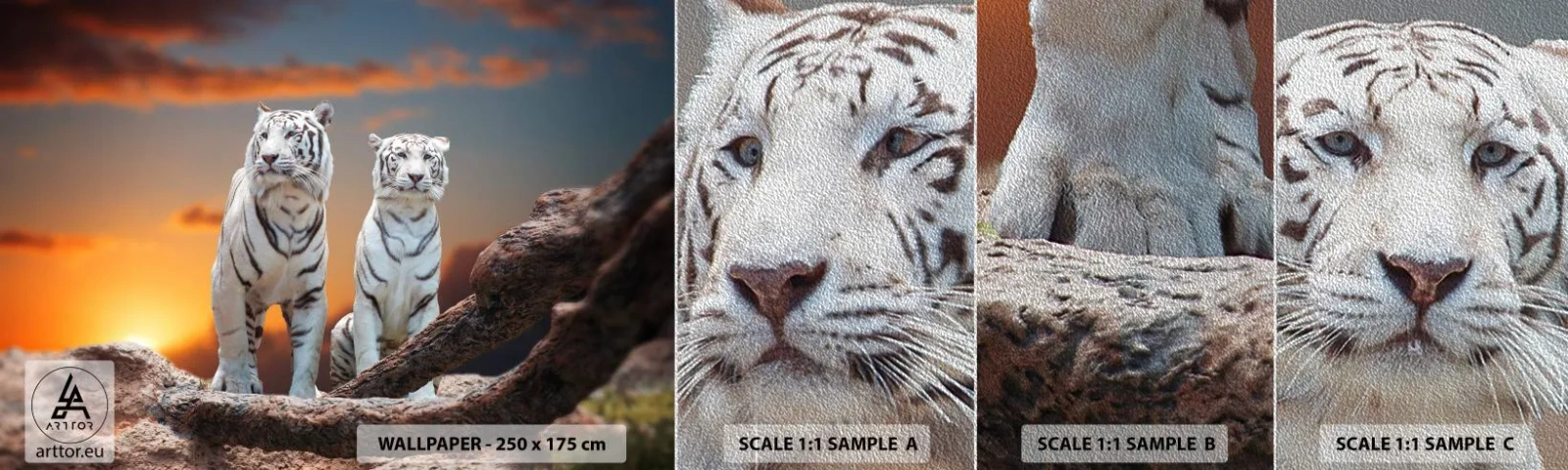 Vzorka fototapety Premium Sand - Úplne ako v Narnii - Zvieratá, Tiger, Západ slnka - 100x30 cm