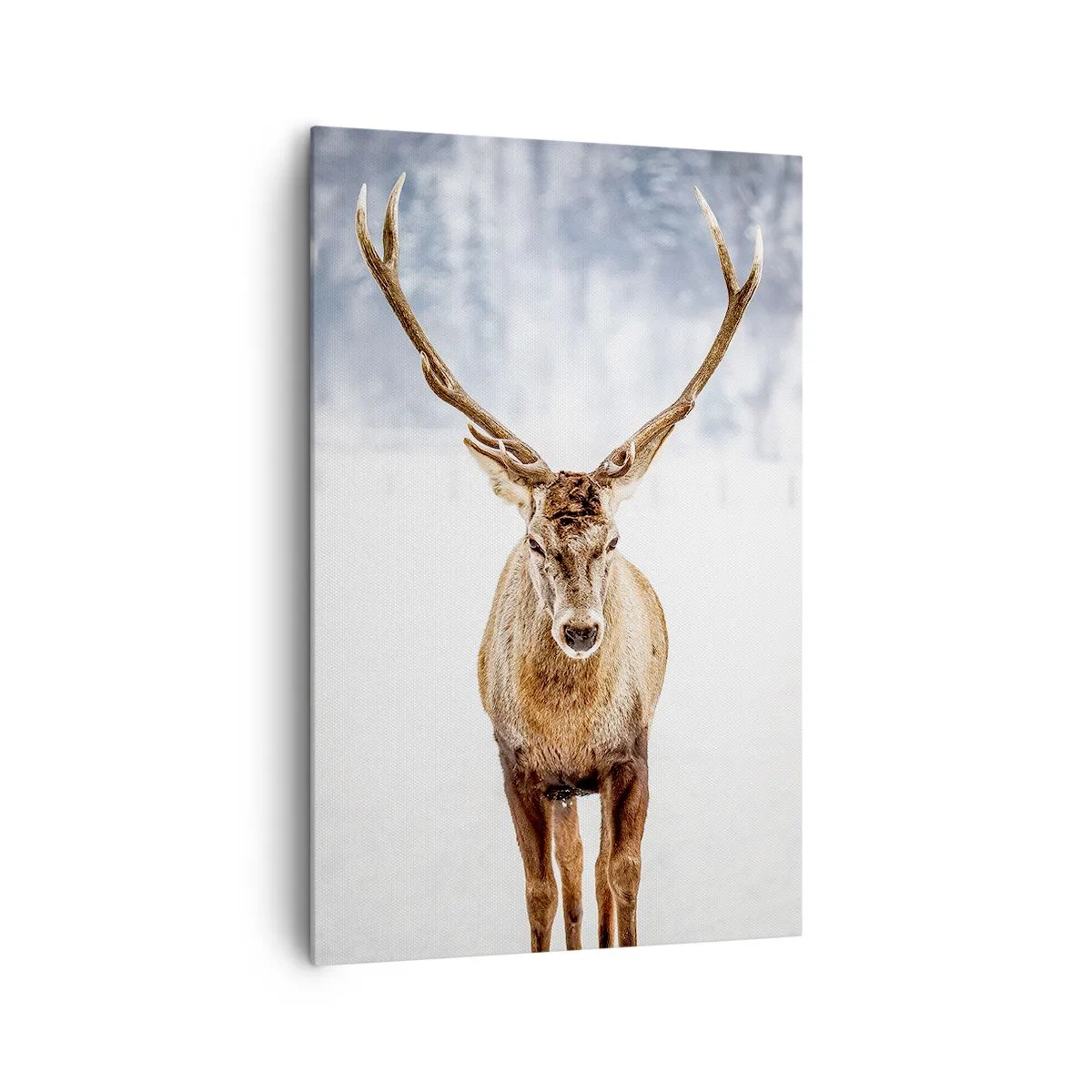 Obraz na plátne - Priamo zo snehovej hmly - 80x120 cm