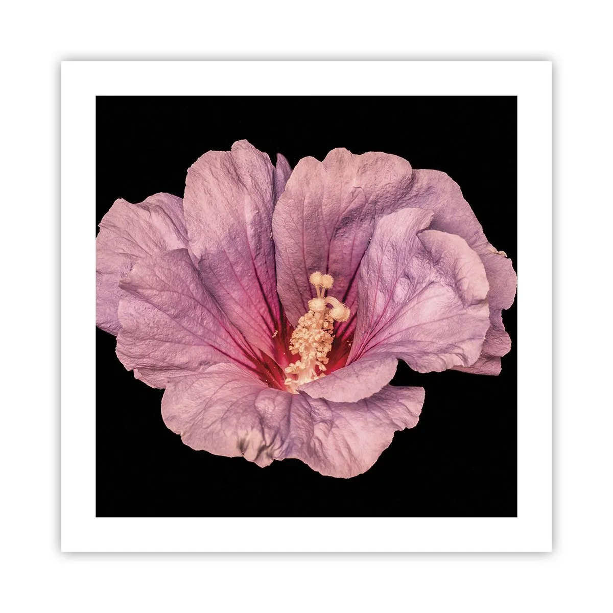 Plagát - Priamo do srdca - 50x50 cm