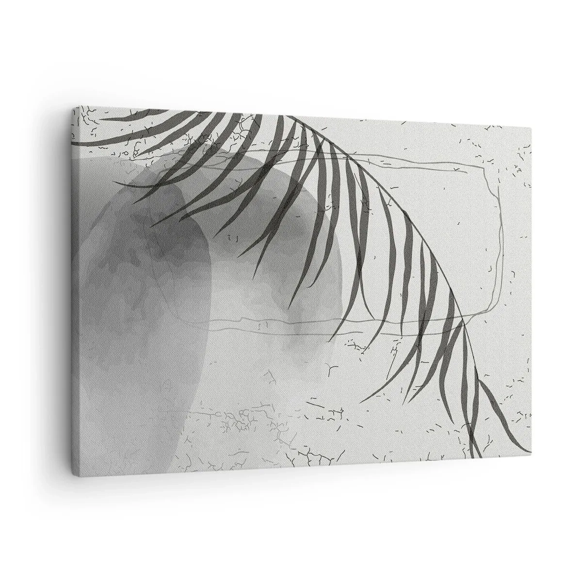 Obraz na plátne - Jemný motív palmového listu na svetlom pozadí v škandinávskom štýle. - 70x50cm - Subtílna exotika prírody - Moderná nástenná dekorácia do obývacej izby a spálne ARTTOR