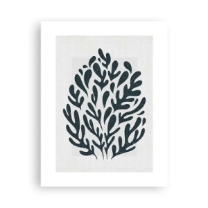 Plagát - Tvary prírody - 30x40 cm