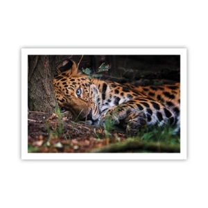 Plagát - Ver mi - 91x61 cm