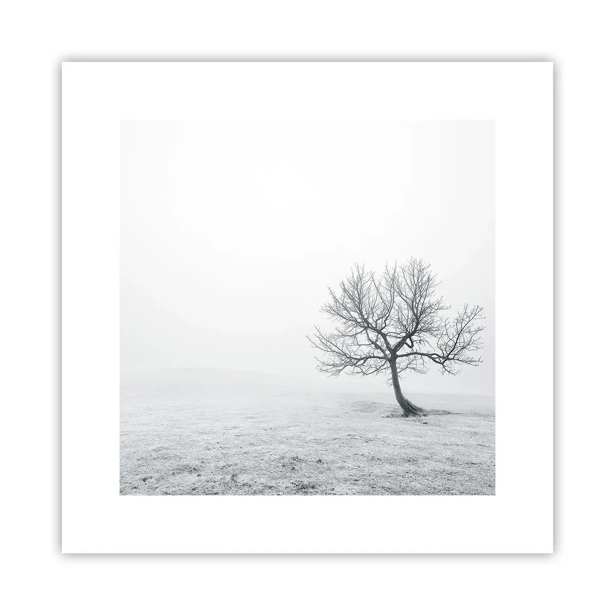 Plagát - Proti ničote - 30x30 cm