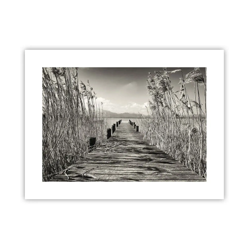 Plagát - V ústraní tráv - 40x30 cm