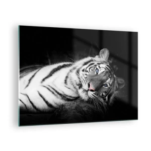 Obraz na skle - Biely tiger s modrými očami v čiernobielom prostredí - 70x50cm - Divočina a pokoj - Moderná nástenná dekorácia do obývacej izby a spálne ARTTOR