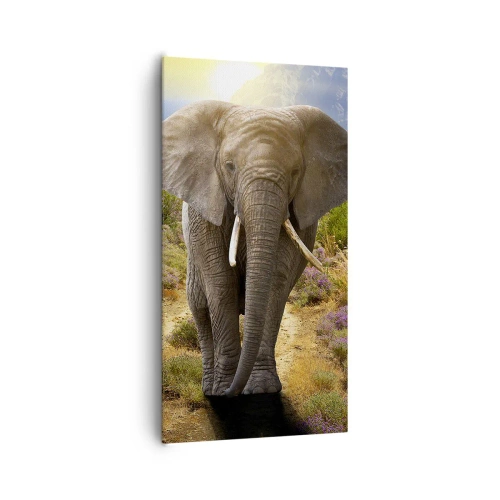 Obraz na plátne - Tak vyzeral Raj - 65x120 cm