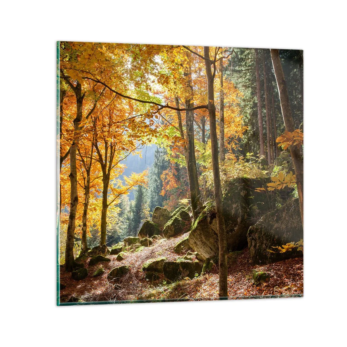 Obraz na skle - Čas na odpočinok - 60x60 cm