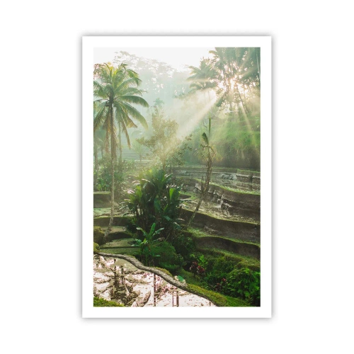 Plagát - Vyrastať na slnku - 61x91 cm