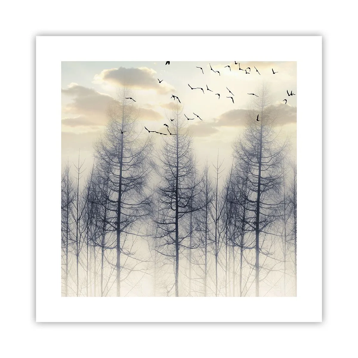 Plagát - Duchovia lesa - 40x40 cm