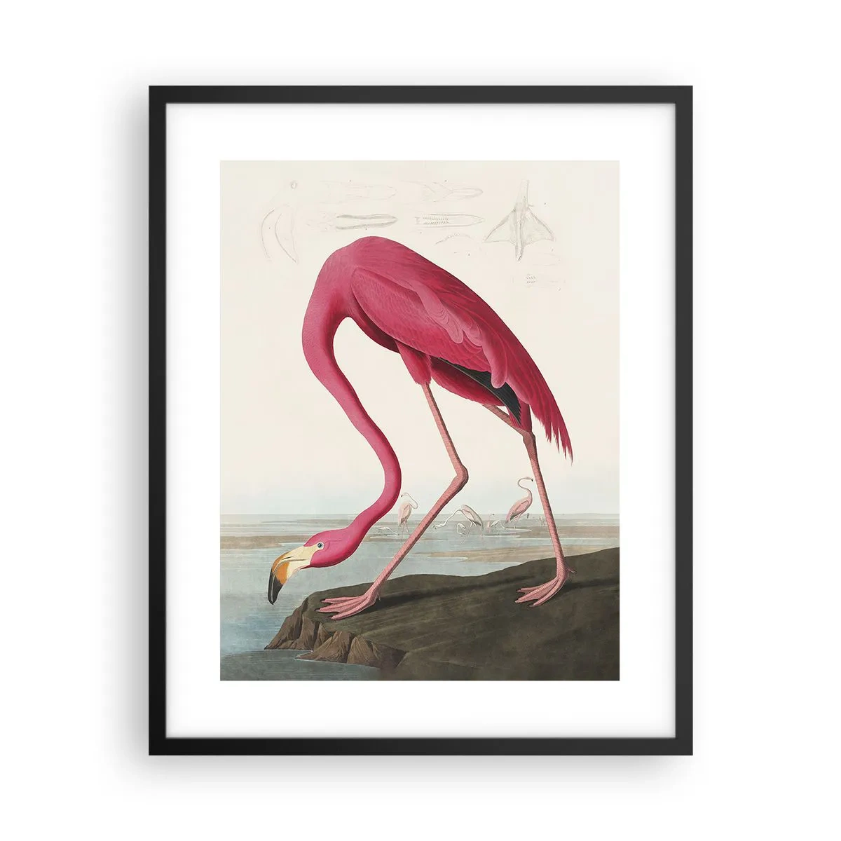 Plagát v čiernom ráme - Úžasná tvora - 40x50 cm