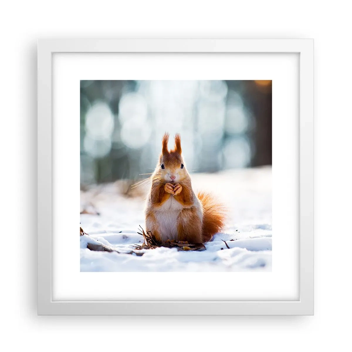 Plagát v bielom ráme - Čo sa tak pozeráš? - 30x30 cm