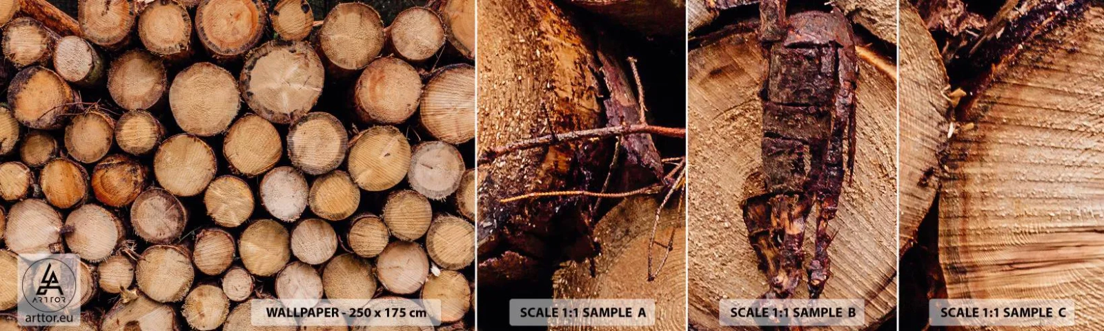 Vzorka samolepiacej fototapety Deluxe Sticker - Nový začiatok - Drevo, Drevené polená, Príroda - 100x30 cm